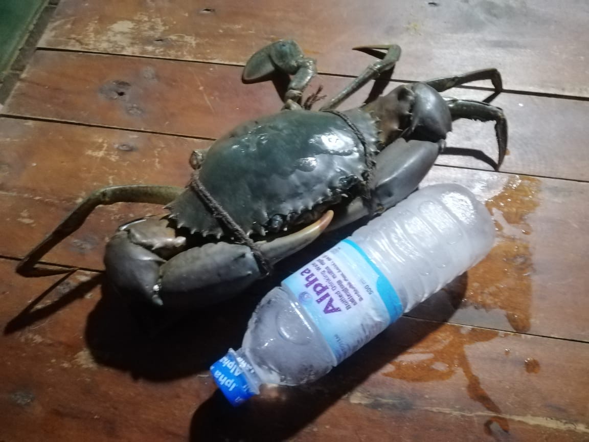 Signature Wild Catch Crabs Crab Delivery Singapore 8 Crabs Crab