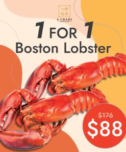 1 for 1 Boston Lobster by 8crabs