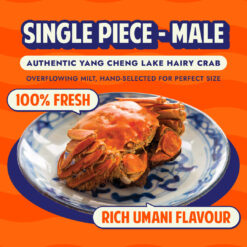 Single Piece Order - Premium Steamed Male Hairy Crab (Certified from Yang Cheng Lake)