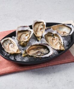 Live Frozen Oysters by 8crabs