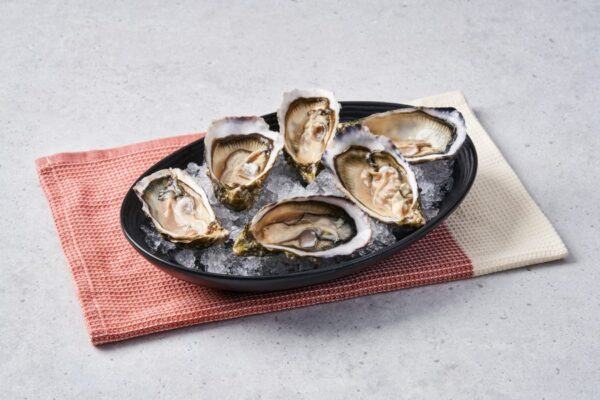 Live Frozen Oysters by 8crabs