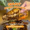 Giant River Prawn (2 pcs) 野生特大头虾