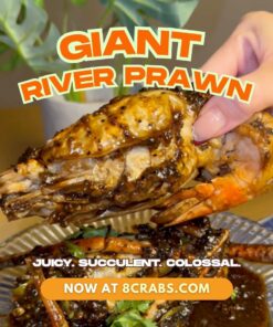 Giant River Prawn