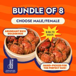 Bundle of 8: Premium Steamed Hairy Crab