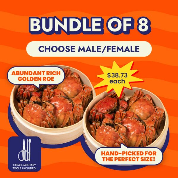 Bundle of 8: Premium Steamed Hairy Crab