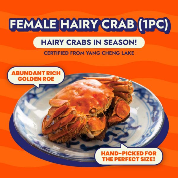 Single Piece Order - Premium Steamed Female Hairy Crab (Certified from Yang Cheng Lake)